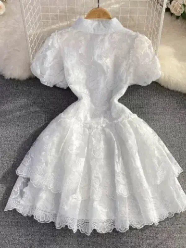 Short Lacy layered dress